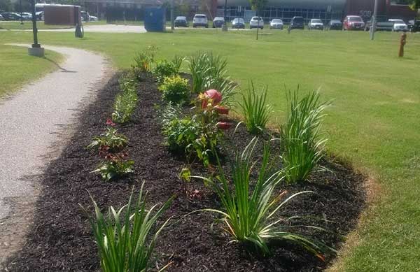 Arboretum pathway garden.
