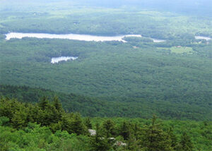 Landscape Connectivity