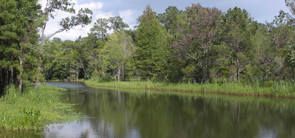 We are the leading nonprofit in the field of green infrastructure planning. We are the leading nonprofit in the field of green infrastructure planning.